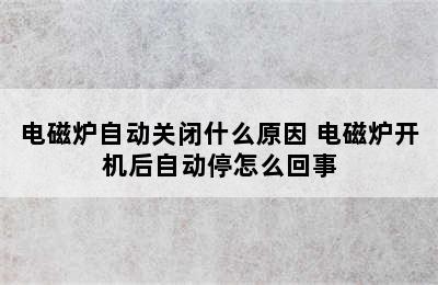 电磁炉自动关闭什么原因 电磁炉开机后自动停怎么回事